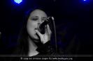IMG_0715-3